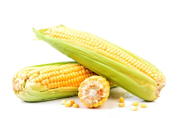 Fresh corn