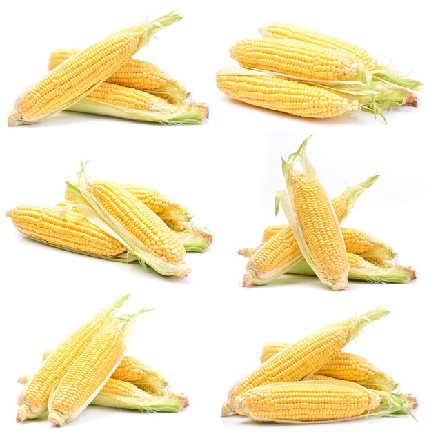 Fresh corn