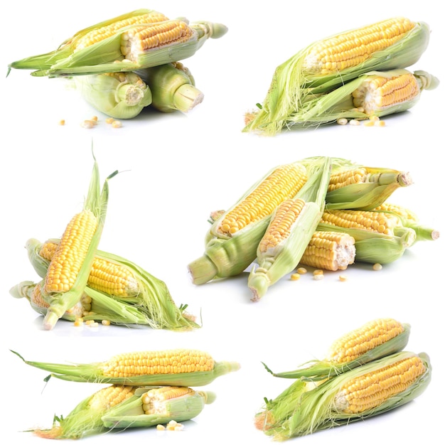 Fresh corn