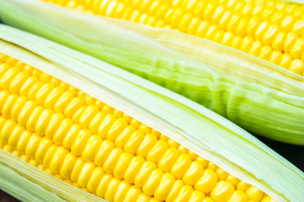 Fresh corn