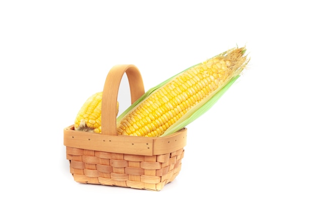 Свежие кукурузы или кукурузные уши, изолированные на белом фоне
