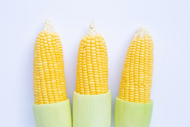 Fresh corncobs