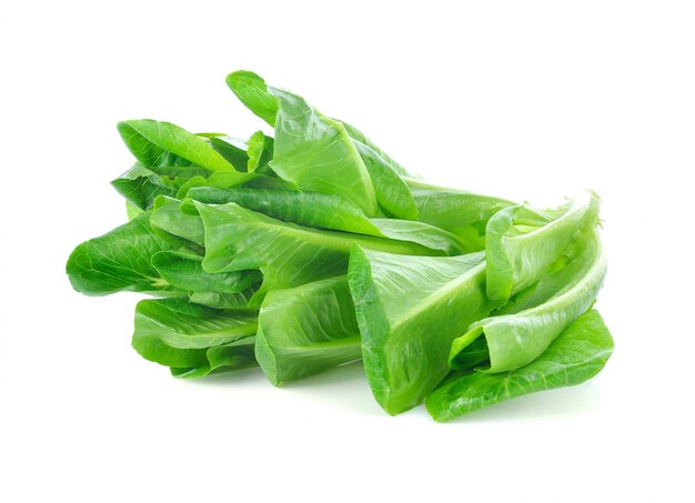 Fresh cos (lettuce) on white background