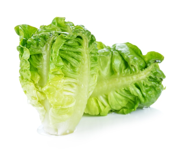 Fresh cos lettuce on white space