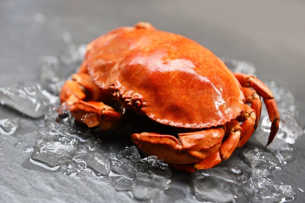 Fresh crab on ice - Close up of stone crab steamed in the seafood restaurant 