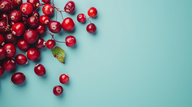 Fresh cranberries scattered on a blue background The cranberries are red round and have a glossy surface