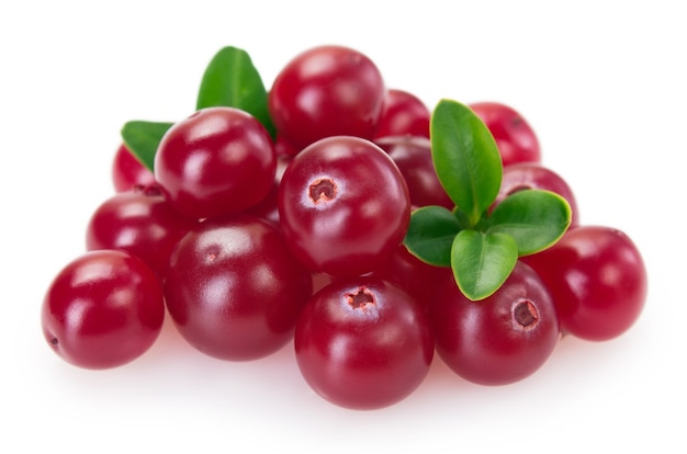 Fresh cranberry isolated on white background closeup