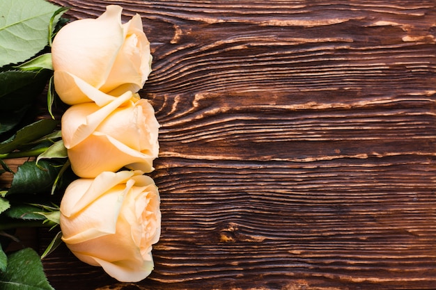 Fresh creamy roses on wood