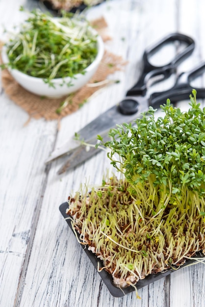 Fresh Cress closeup shot