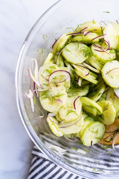 Insalata di cetrioli fresca con cetrioli affettati, cipolla viola e aneto fresco in una ciotola di vetro.