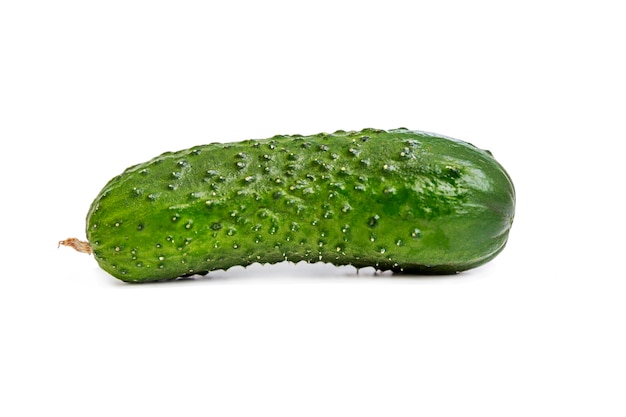 Fresh cucumber with pimples. Healthy lifestyle and vitamins. Isolated on a white background.