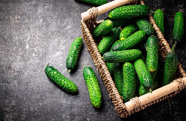 Fresh cucumbers in a basket