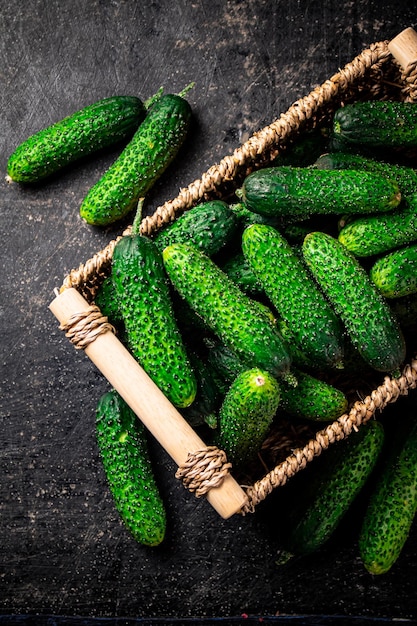 Fresh cucumbers in a basket