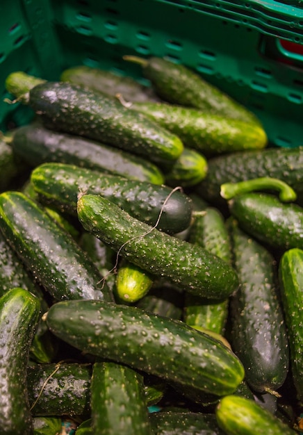 Photo fresh cucumbers close up