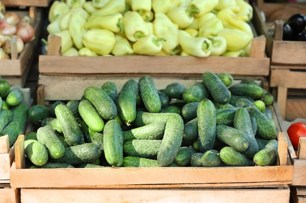 Fresh cucumbers in crate for sale in market