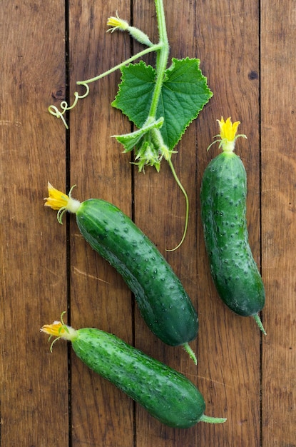 Fresh cucumbers and green sprouts on wooden table.