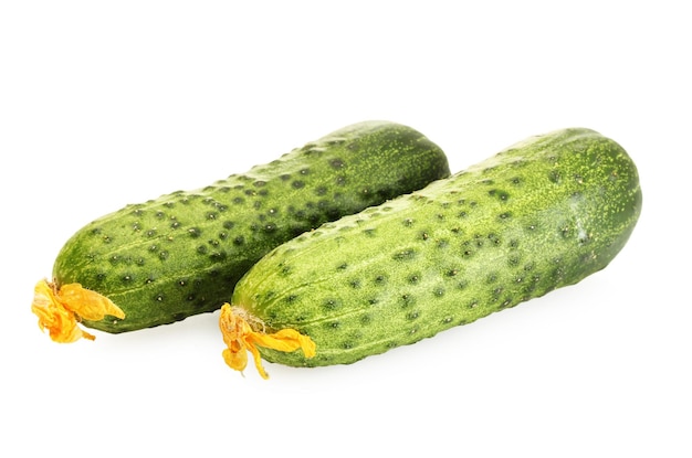 Fresh cucumbers isolated on white