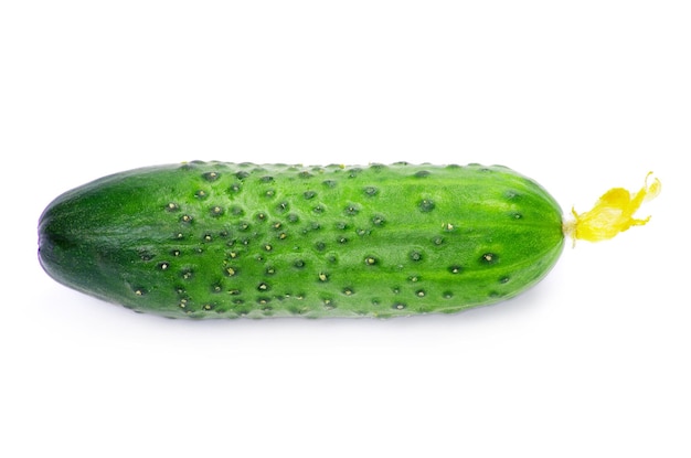 Fresh cucumbers isolated on white