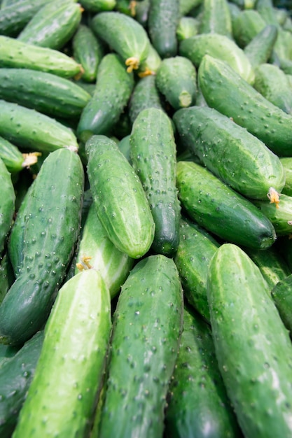 Fresh cucumbers in the market