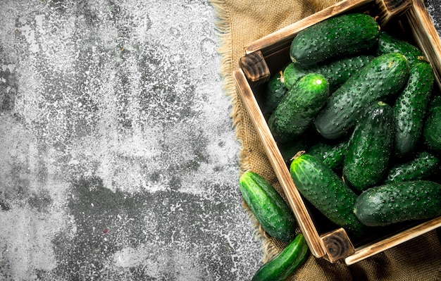 Fresh cucumbers in an old box. on a rustic background.