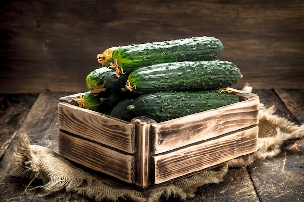 Fresh cucumbers in an old box. On a wooden background.