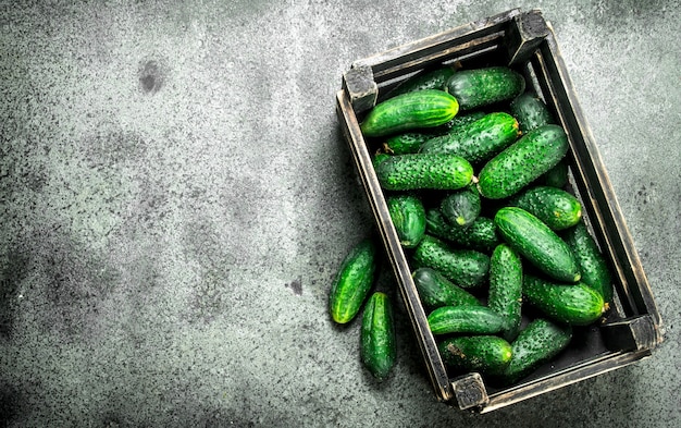 Photo fresh cucumbers in an old box.