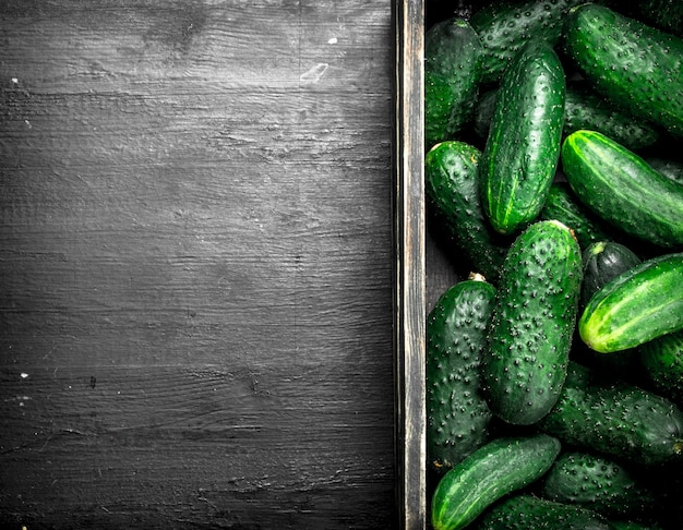 Fresh cucumbers in an old wooden box