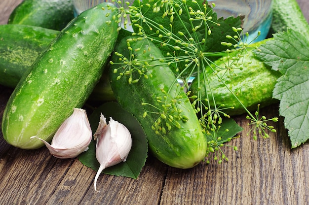 Fresh cucumbers for pickling closeup on wooden table