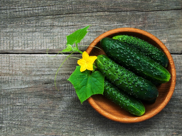 Fresh cucumbers on a table