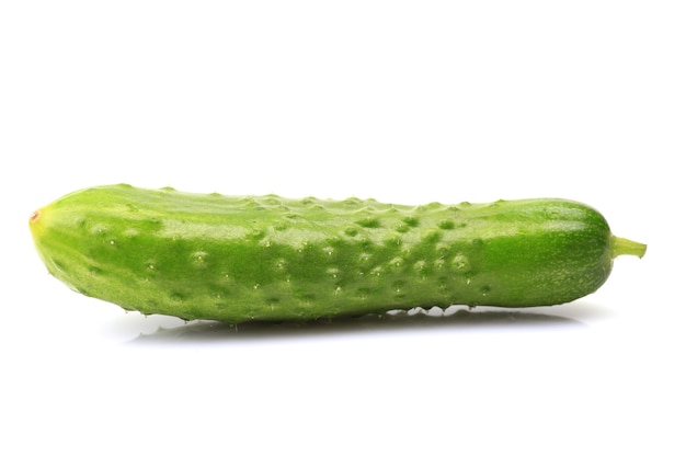 Fresh cucumbers on a white background