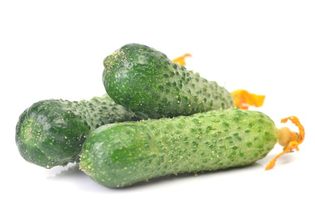 Fresh cucumbers