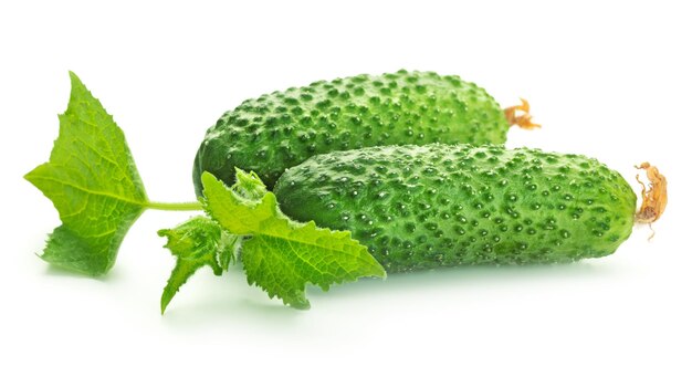 Fresh cucumbers