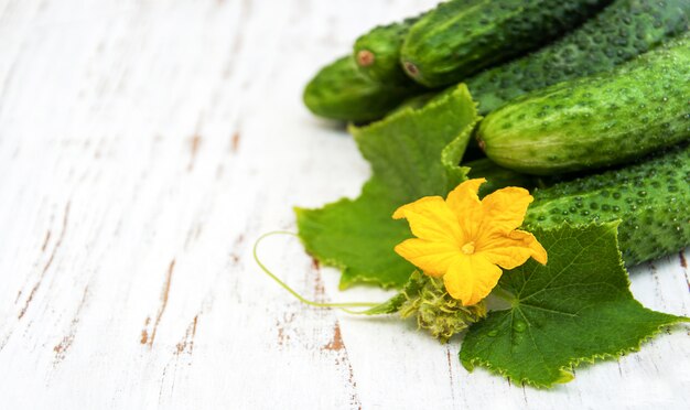 Fresh cucumbers