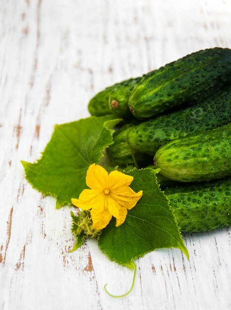 Fresh cucumbers