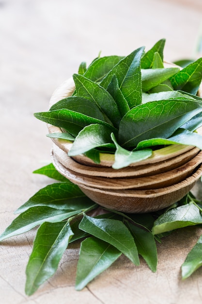 Fresh curry leaves in coconut bowl