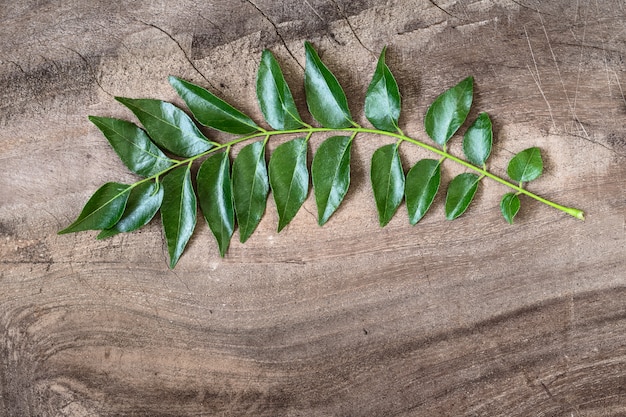 Photo fresh curry leaves on wooden background