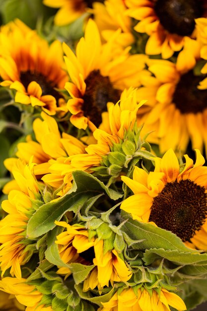 Fresh cut flowers on sale at the local farmers market.