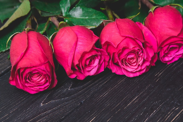 Fresh dark red roses close up with dark green leaves lying