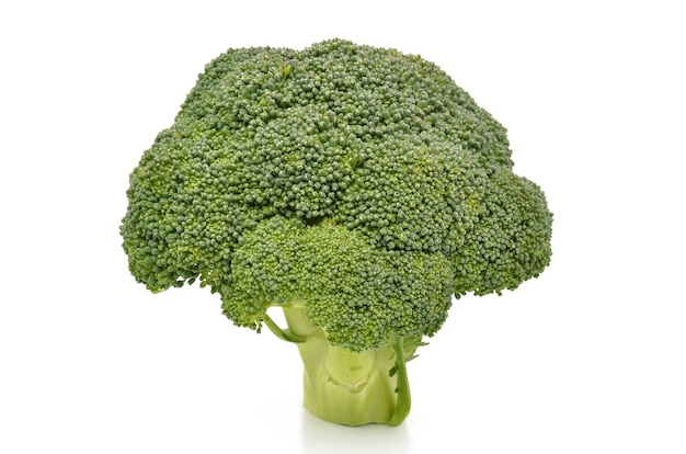 Fresh and delicious broccoli on white isolated surface