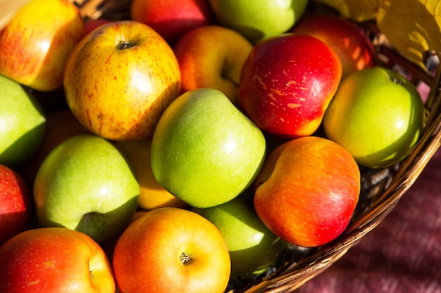 Fresh delicious natural apples different varieties in a basket close - up - yellow, green, red. Autumn, harvest festival, autumn mood. Vitamins, environmental friendliness. Autumn background