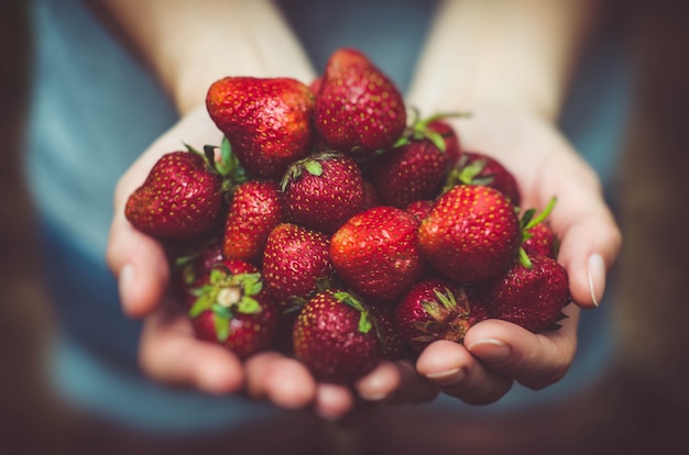 Fresh and delicious strawberries