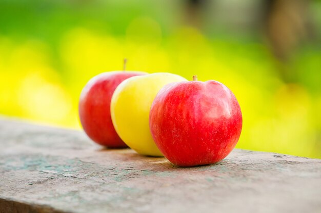 Fresh different color apples on green space with bokeh