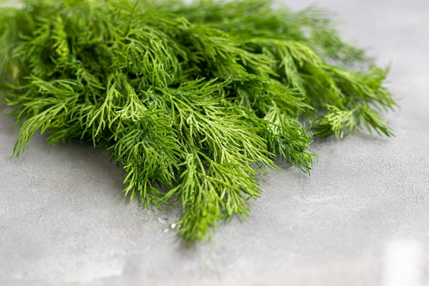 Fresh dill herb