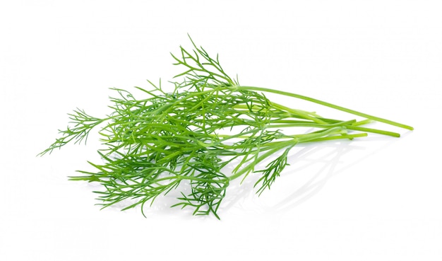 Fresh dill isolated
