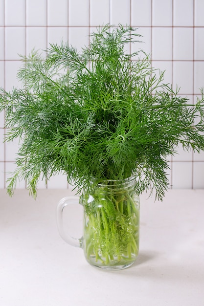 Fresh dill in jar