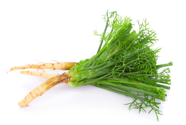 fresh dill on white background