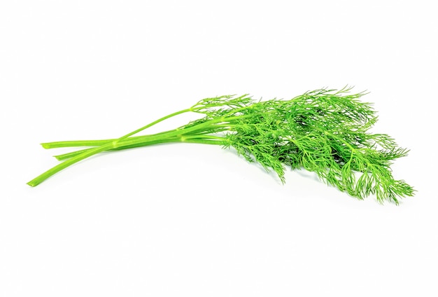 Fresh dill on white.