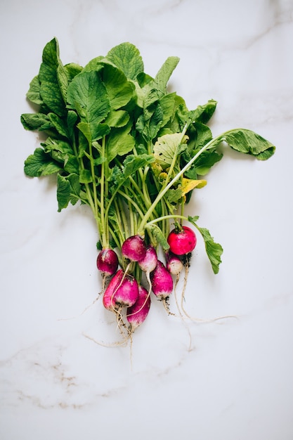 Fresh dirty radish bunch on marble