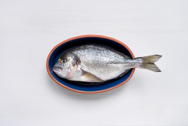 Fresh dorado fish in blue plate on white background. Top view, copy space