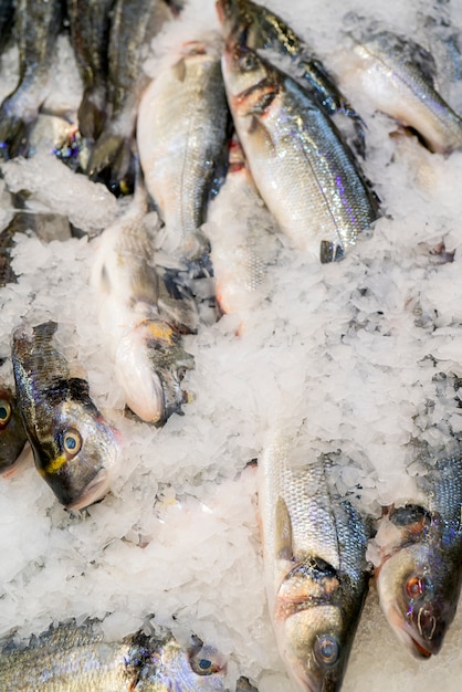 Fresh dorado fish on a counter ice in a supermarket.